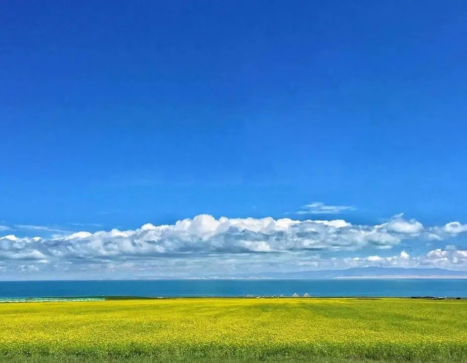 &#122;&#111;&#116;&#121;&#20013;&#27431;